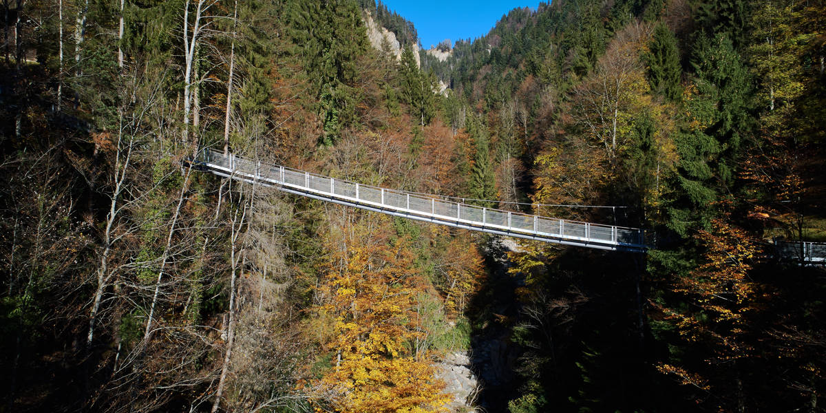 Panoramabrücke Beatenberg